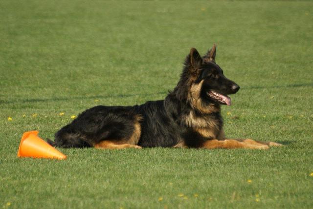 Fotos/2010vervolgTaylor/Cliff/DSC03698[1].jpg